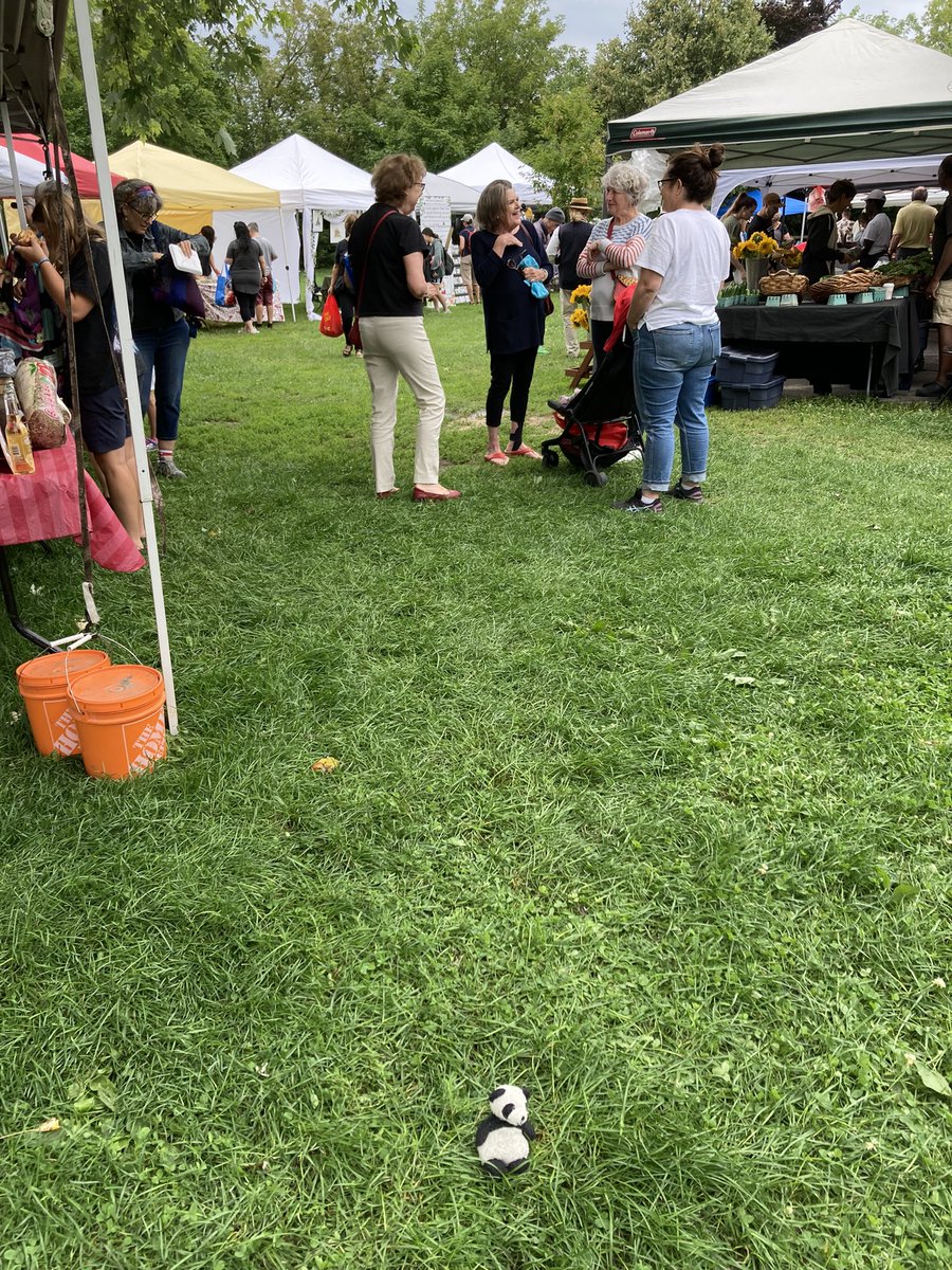 Adventure_Gauss's tweet photo. Went to the farmers market with my human. #summerToDoList #yummy https://t.co/UUtjkjQ3Ev