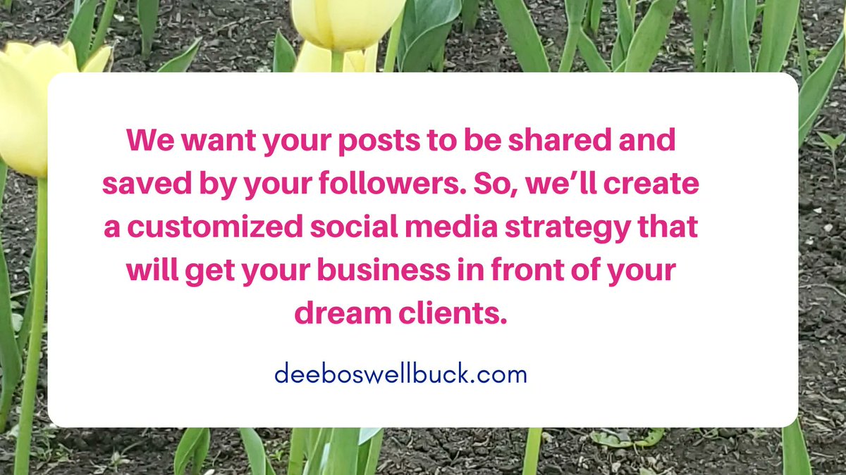 We want your posts to be shared and saved by your followers. So, we’ll create a customized social media strategy that will get your business in front of your dream clients.
buff.ly/3O2TipP 
#digitalmarketingtips #torontobusiness #canadianbusiness
