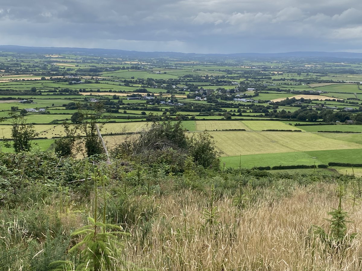 Johngodwyer1's tweet photo. Had a nice Friday evening walk yesterday at Binnianea, Cullohill, Co Laois with 25 hikers from Mid-Tipp Hillwalkers. Highly recommended with 6km or 12km options. Next week, the walk is to the  Silvermines Hills.  All welcome. For info, contact Brid at 086 8071753. @LaoisLoving https://t.co/QE9SxcbNUh
