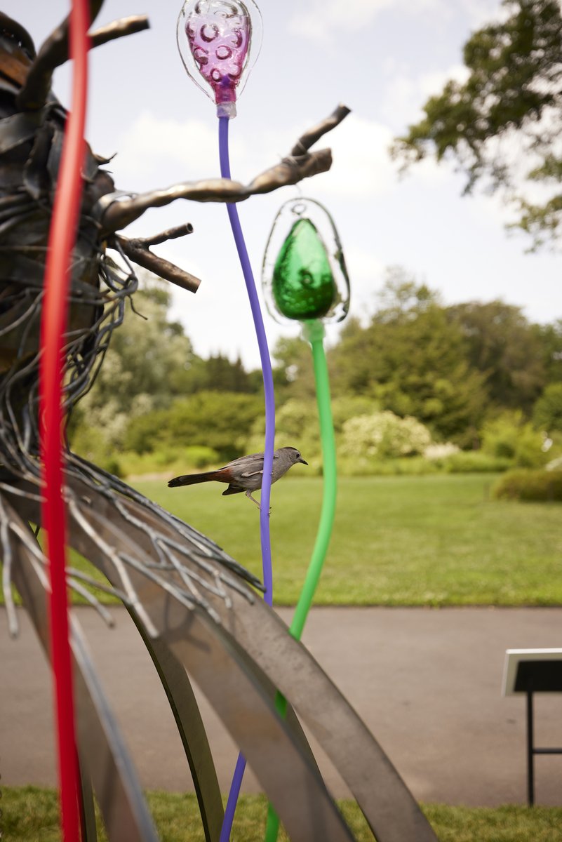 BrooklynBotanic's tweet photo. Natsuki Takauji's "The Heart of the Tree" is part of Branching Out, the central art exhibit of #PowerofTrees, co-presented by @ankhlave.
.
Come see Branching out at BBG now: https://t.co/24Q3rJGOrP https://t.co/wOJ6QqYXUW
