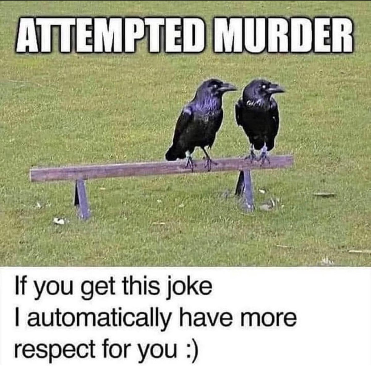 weirdmedicine's tweet image. 