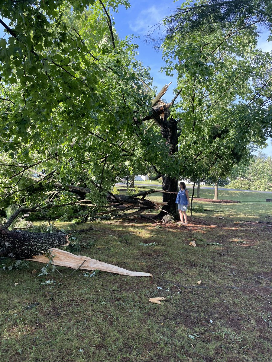 Intense localized storm damage in Woodstock, VA from yesterday’s weather event. Wondering if it was a microburst? @dougkammerer @nbcwashington