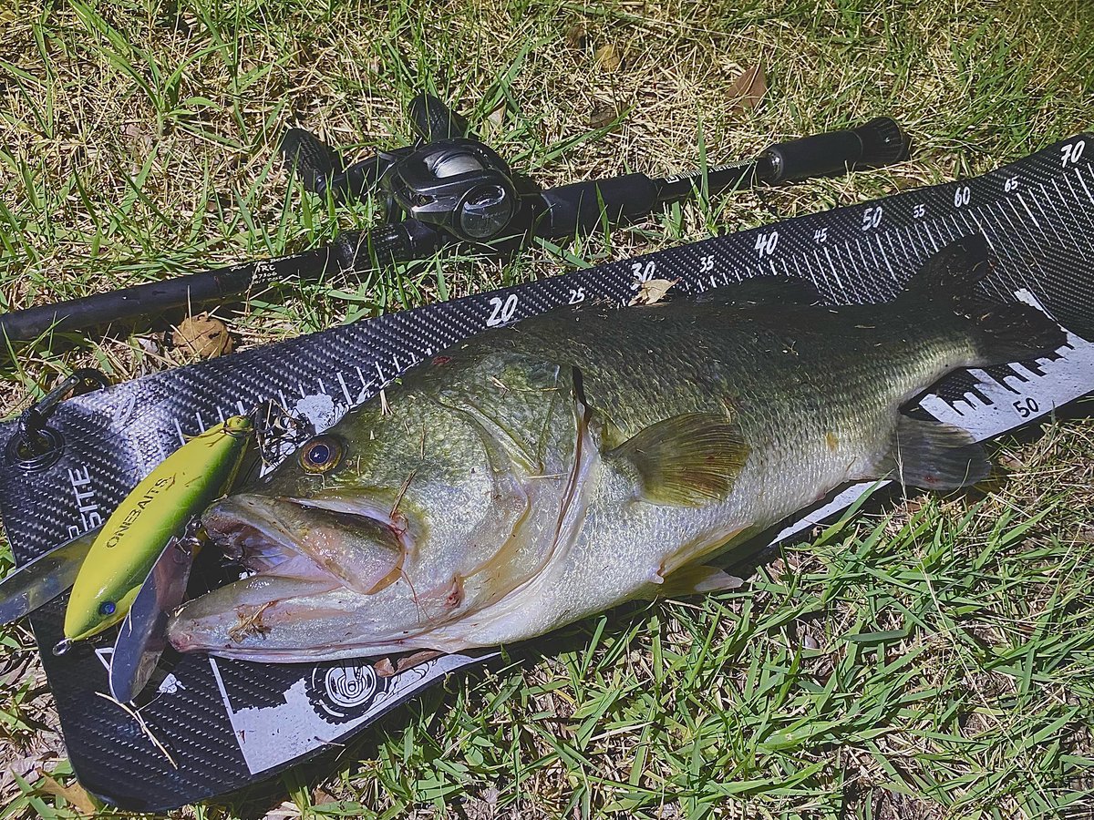 hrt_fishing's tweet photo. 🎣
派手な出方したけど
あがってきたのはスリムなロクマル
・
#bass #bassfishing #バス #バス釣り #バスフィッシング #베스 #lakebiwa #琵琶湖 #studiocomposite #スタジオコンポジット #スタコン #twinhook #ツインフック #forthebeast7306 #onebaits #羽根モノ #ハネモノ #ryugi #リューギ https://t.co/jrXxiCmTrg