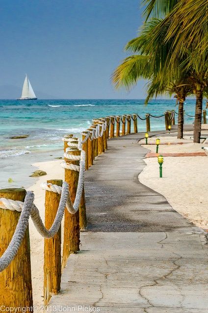 Saturday Mornings ... Brings happiness along with it... ꧁🌴꧂🌊☀️🐬꧁🌴꧂ #weekendvibes #inspiration #nature #Happiness #enjoylife #sealover #freedom #saltlife #photography