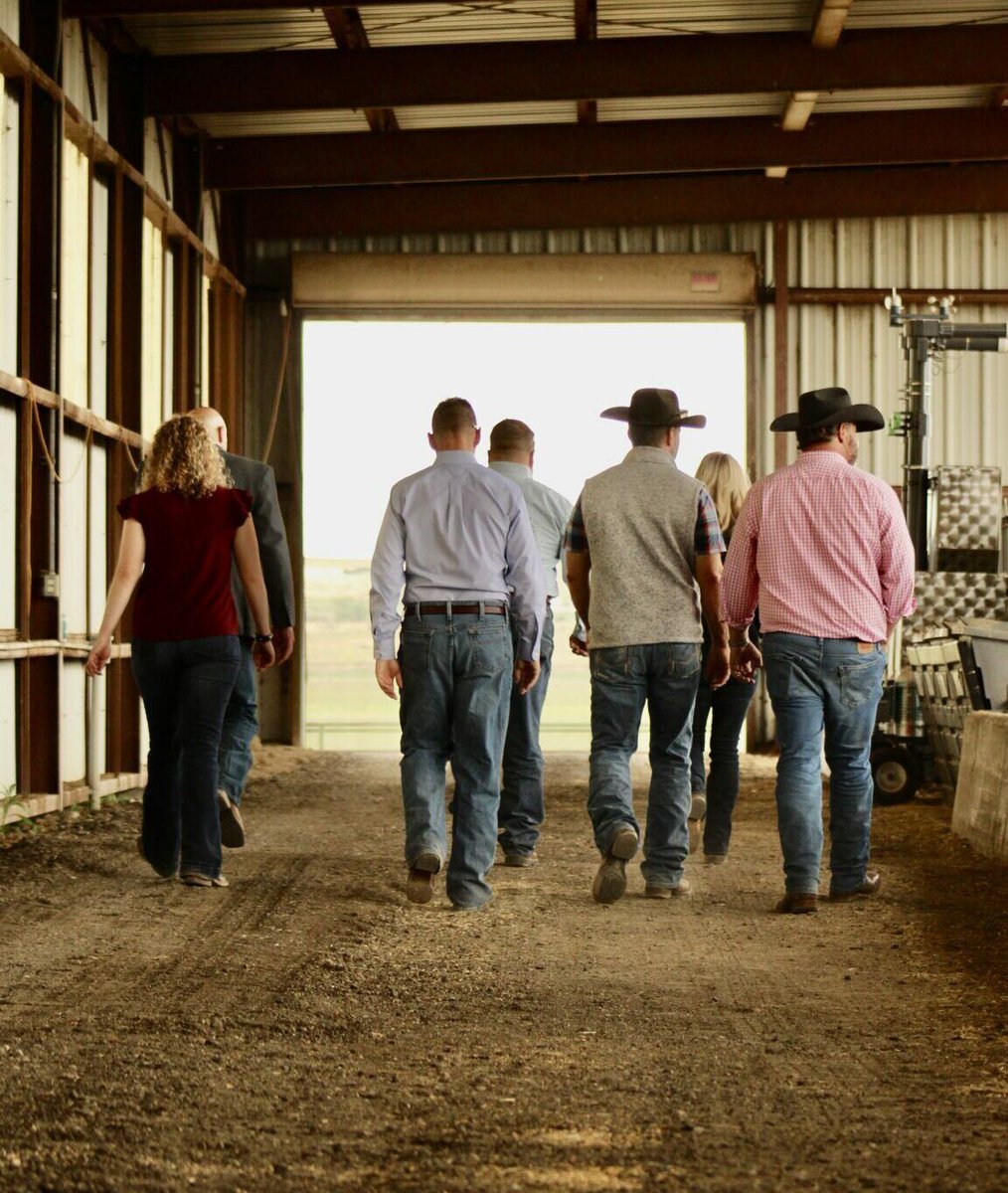 CSUAgSci's tweet photo. Learn more about @CSUAgNext featured on NPR, where they're leading the charge in the agriculture industry's efforts to combat climate change by implementing innovative methane reduction strategies. 🌱🌍 #ClimateAction #Sustainability #AgNext Listen here > https://t.co/TIBN2oe8ej https://t.co/RiqmtQDR4c