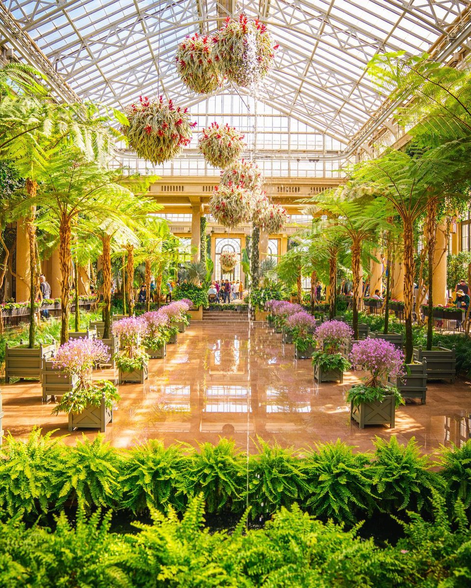 discoverPHL's tweet photo. Philadelphia has 37 public gardens, arboreta, and historic landscapes located within 30 miles of the region 💐

Learn more about touring Philadelphia's countryside with @longwoodgardens being a must-visit stop ➡ https://t.co/AWFlngx12x

#discoverPHL 📸: westchesterviews https://t.co/h8Vfn3jnh5
