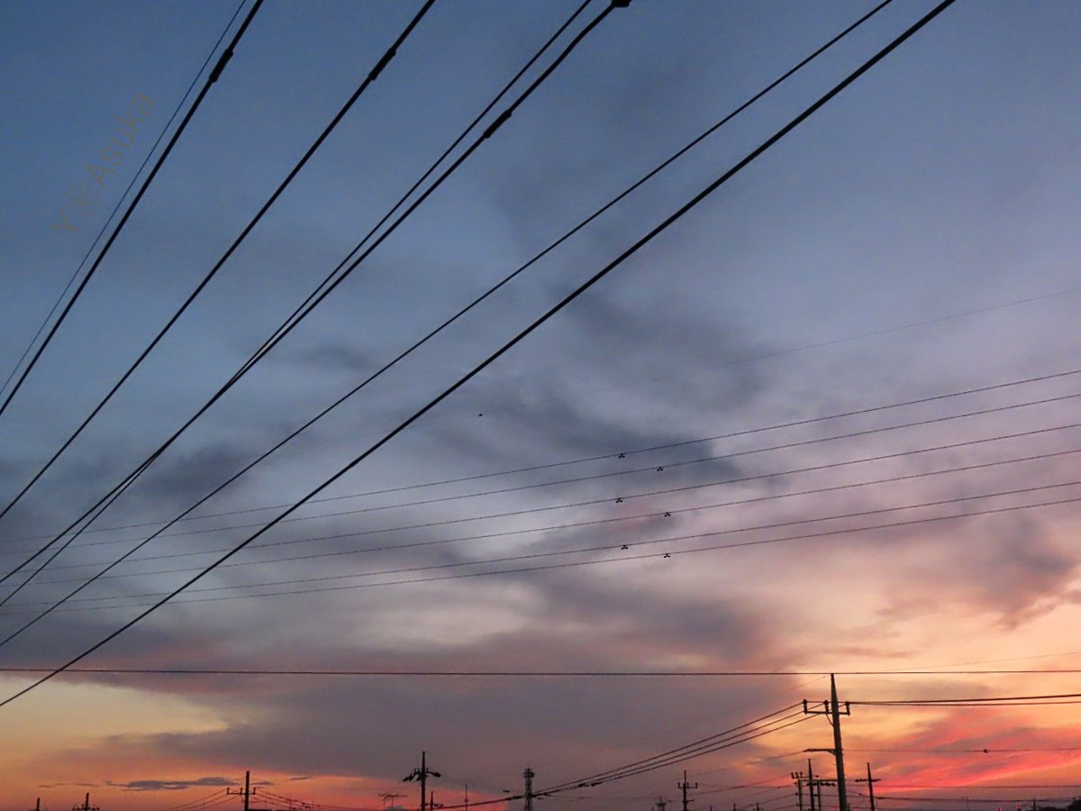 yumeasutw's tweet photo. 空の彼方が大焼けに🌆
お疲れ様です🏁
生暖かい風が吹き抜ける #夕暮れ
西の彼方のかなとこ雲の
向こうが茜色に🟥
北の彼方の #積乱雲 も
ほんのり #茜色 🟥
#空の名前
#天気の図鑑 #雲の超図鑑 #雲友の会
#夕空 #夕焼け #鉄塔 #電柱 #電線
#a2023 #a0729 #a202307 #a2023074 https://t.co/sf98nlT5TV