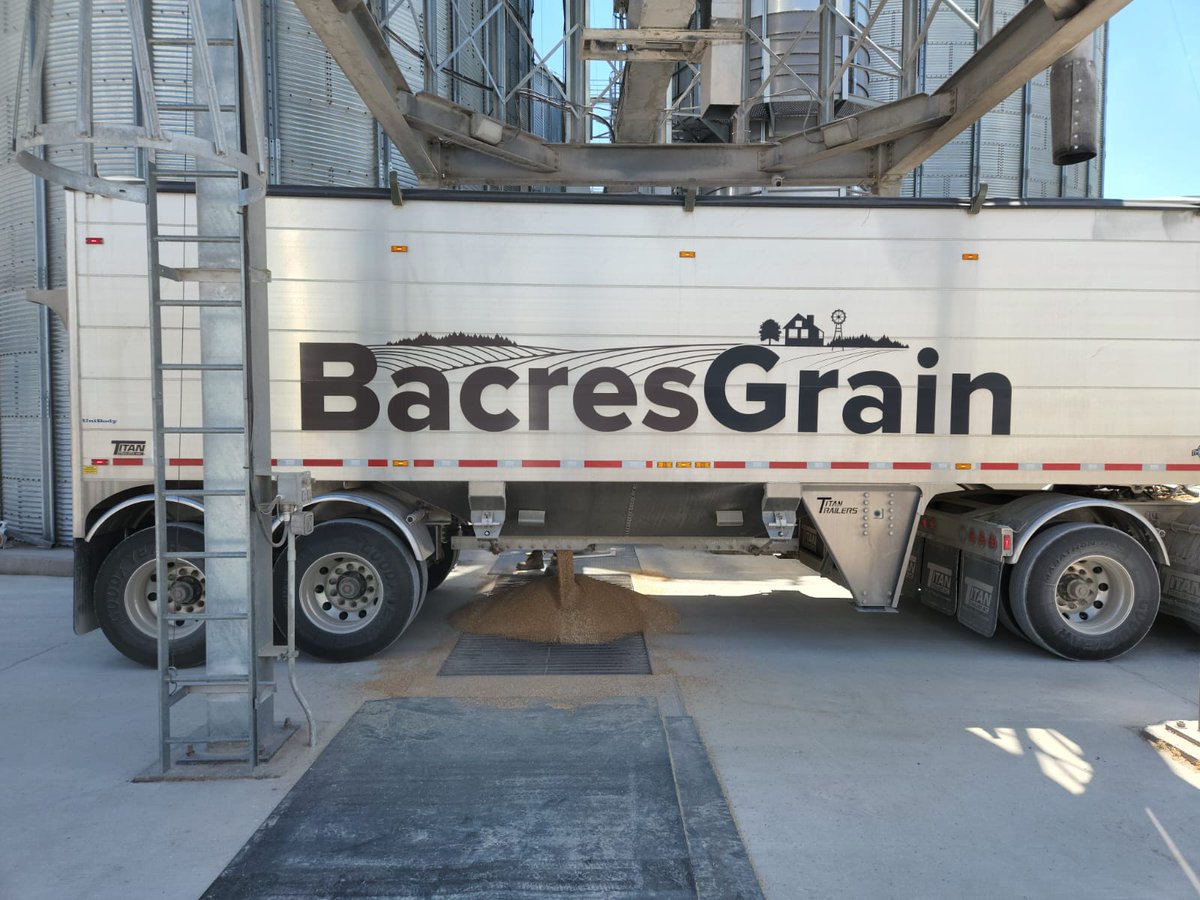 BacresG's tweet photo. How has harvest been treating you? There is still time to fill those contracts! Give Tannis a call at 519-330-1688

We're rolling when you're rolling! https://t.co/njU29oWsNS