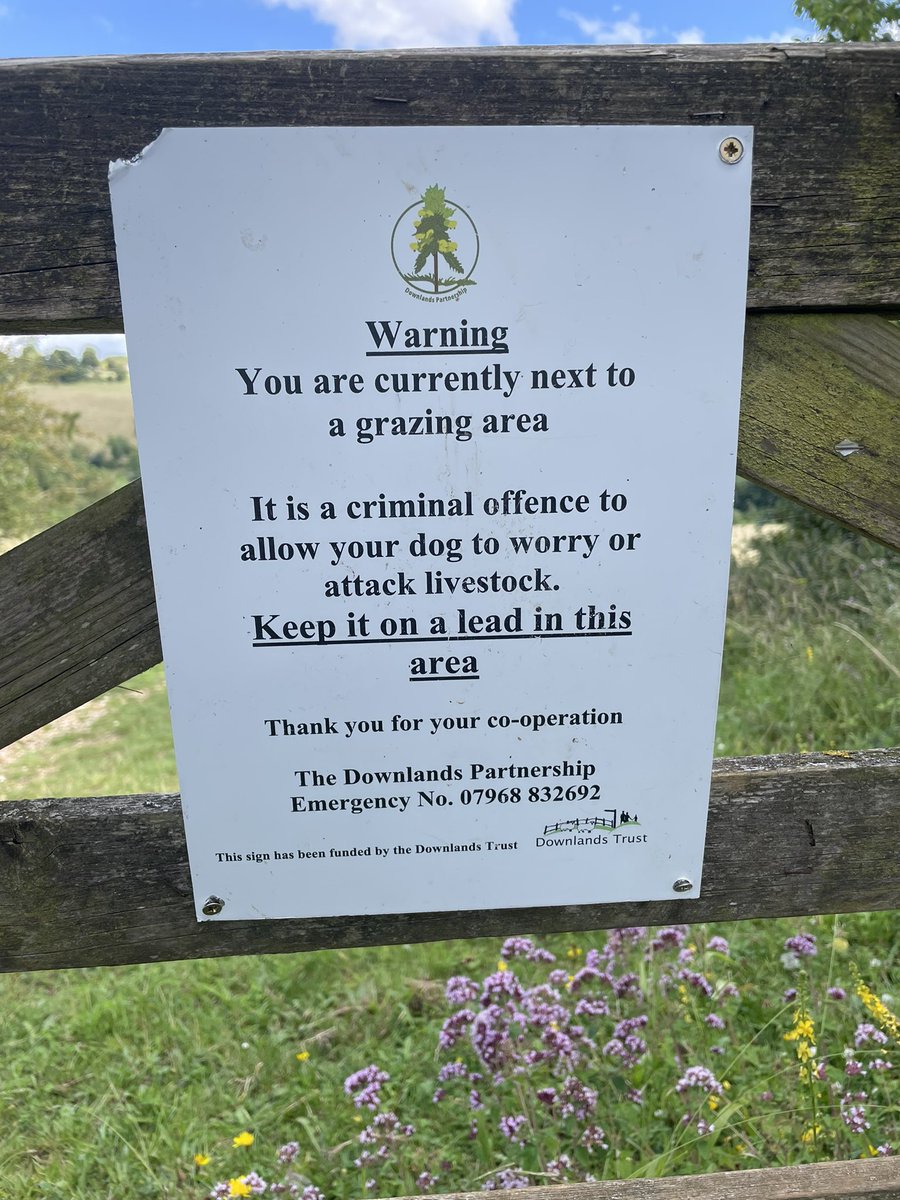 robmesure's tweet image. #danglingmodifier