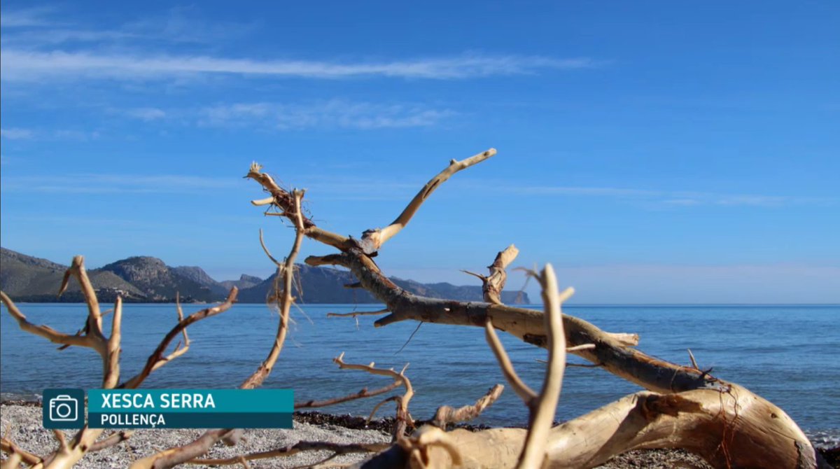 TempsIB3's tweet photo. Avui ens hem assabentat de la mort de na Xesca Serra😢; Fotògrafa pollencina, amant de la natura i la meteorologia, i una de les col·laboradores més antigues d'aquesta casa. Des de l'equip del temps volem donar el condol a la seva família i amics. 
En pau descansi❤️. https://t.co/FtLx626V1v