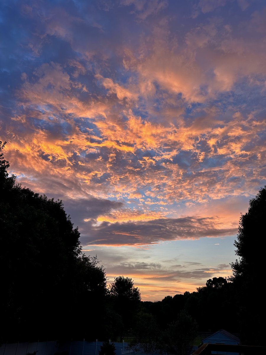 What do you do when you have a beautiful sunset? Take pictures of course! 📸 #BostonTerrier #DogsOfTwitter