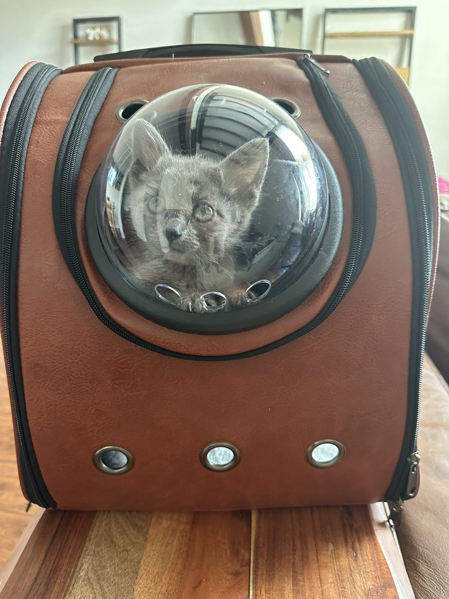 Haley Esparza tweet media