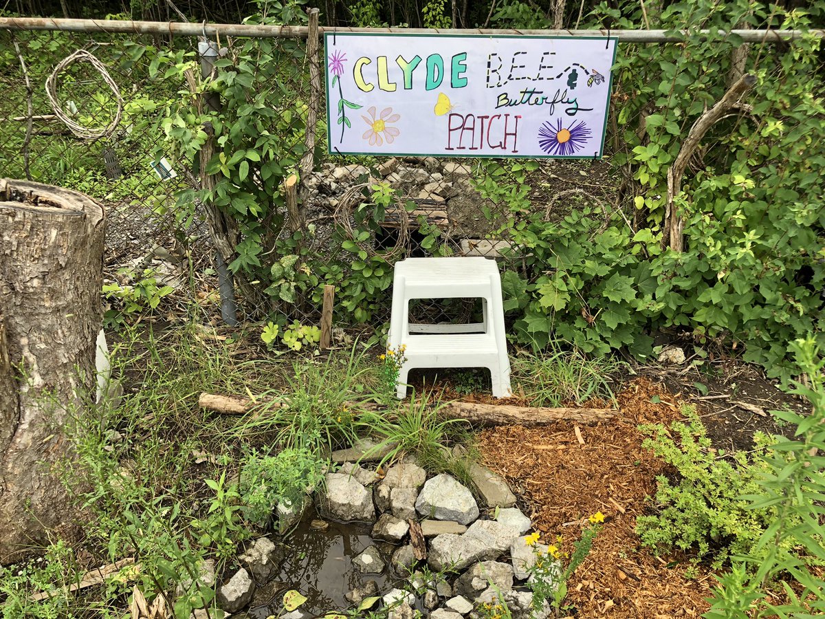 EcologyOttawa's tweet photo. Nice crowd at the @WildPollinators event at the Clyde Bee &amp; Butterfly Patch. Come see #OttPollinators and some of the plants and humans that support them! https://t.co/3LFaILrp5Y