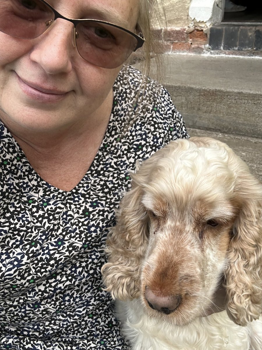 merseyview's tweet photo. Flossie and I chilling on the stoop #flossie #stooplife #doggy https://t.co/QtkUk8DNSy