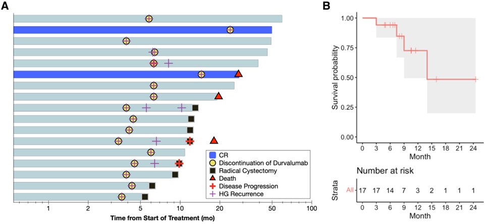 Roger Li (@urogerlimd) on Twitter photo Results from our Ph2 study using Durva in BCG Unresponsive CIS is online <a href="/CCR_AACR/">Clinical Cancer Research</a>
👉2/17 CR at 6mo
👉1/17 Gr 3 hepatotoxicity
👉1/17 PD-L1 high pre-treatment
doi.org/10.1158/1078-0…
#JingsongZhang <a href="/WadeJSexton9/">Wade J Sexton</a> <a href="/SpiessPhilippe/">Philippe spiess</a> @sgilbert1973 <a href="/JulioPowSangMD/">Julio Pow-Sang</a> #JRCG <a href="/MoffittGUOnc/">Moffitt Urologic Oncology Fellowship</a> Results from our Ph2 study using Durva in BCG Unresponsive CIS is online <a href="/CCR_AACR/">Clinical Cancer Research</a>
👉2/17 CR at 6mo
👉1/17 Gr 3 hepatotoxicity
👉1/17 PD-L1 high pre-treatment
doi.org/10.1158/1078-0…
#JingsongZhang <a href="/WadeJSexton9/">Wade J Sexton</a> <a href="/SpiessPhilippe/">Philippe spiess</a> @sgilbert1973 <a href="/JulioPowSangMD/">Julio Pow-Sang</a> #JRCG <a href="/MoffittGUOnc/">Moffitt Urologic Oncology Fellowship</a>