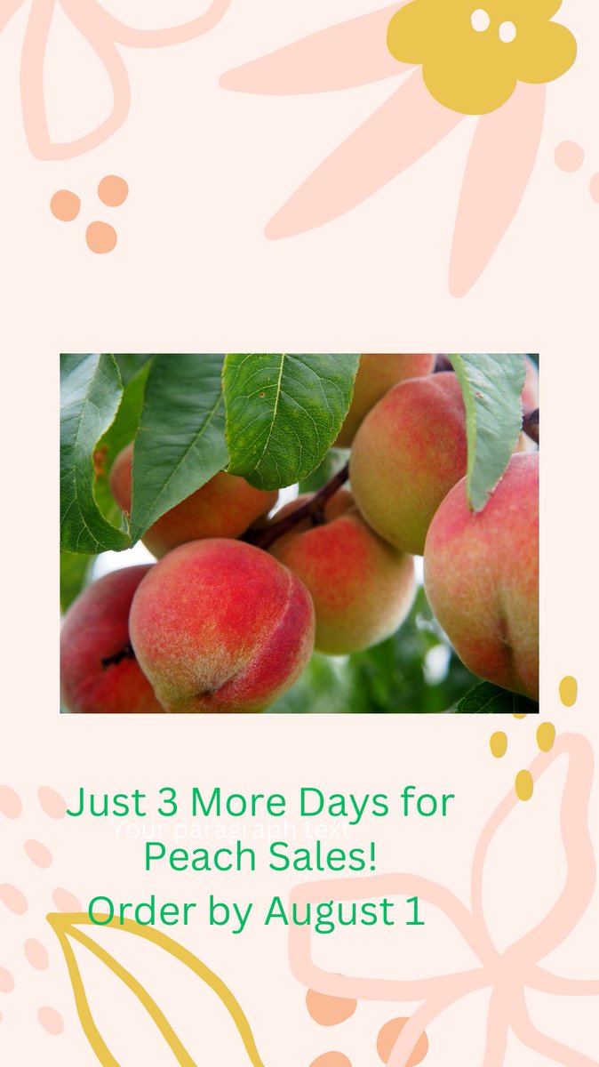 3 more days to support Cherry Creek Cheer by ordering Palisade Peaches! Thank you! Orders due August 1. tiny.cc/cheerpeaches

#coloradopeaches #cchs #creekcheer
