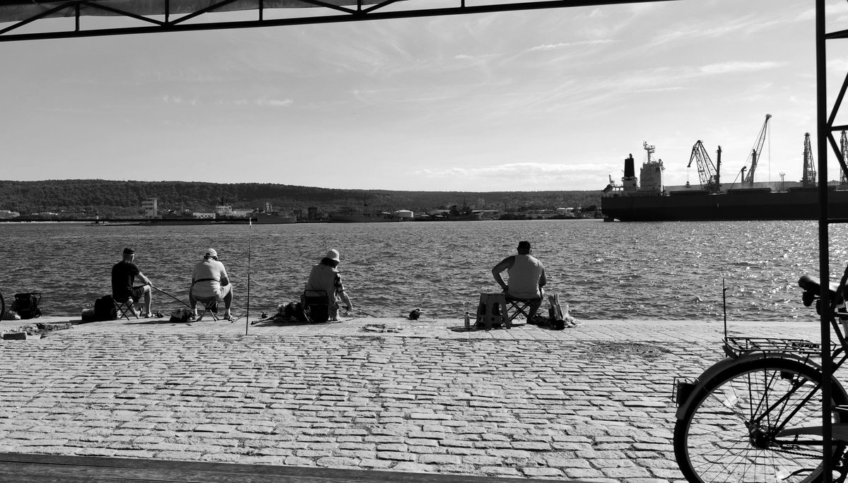 hglr's tweet photo. #Xiaomi12TPro #mobilephotography #xiaomiimagery #shootonxiaomi12tpro #fish #citylife #xiaomi https://t.co/nHbKAir23n