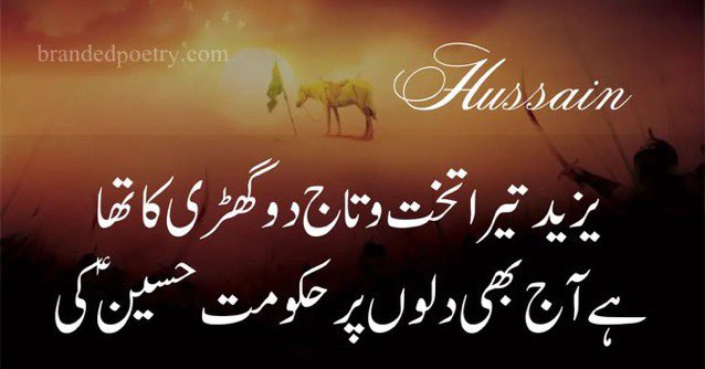 Aleeza Arshad tweet media