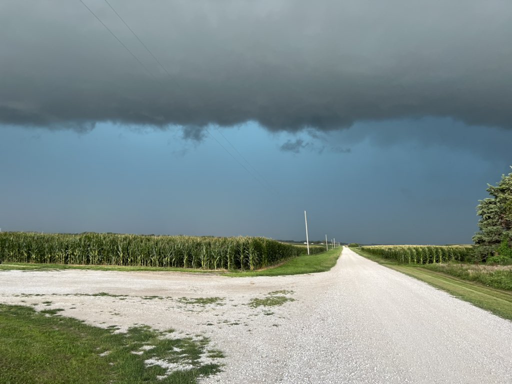 daryl j obermeyer tweet media