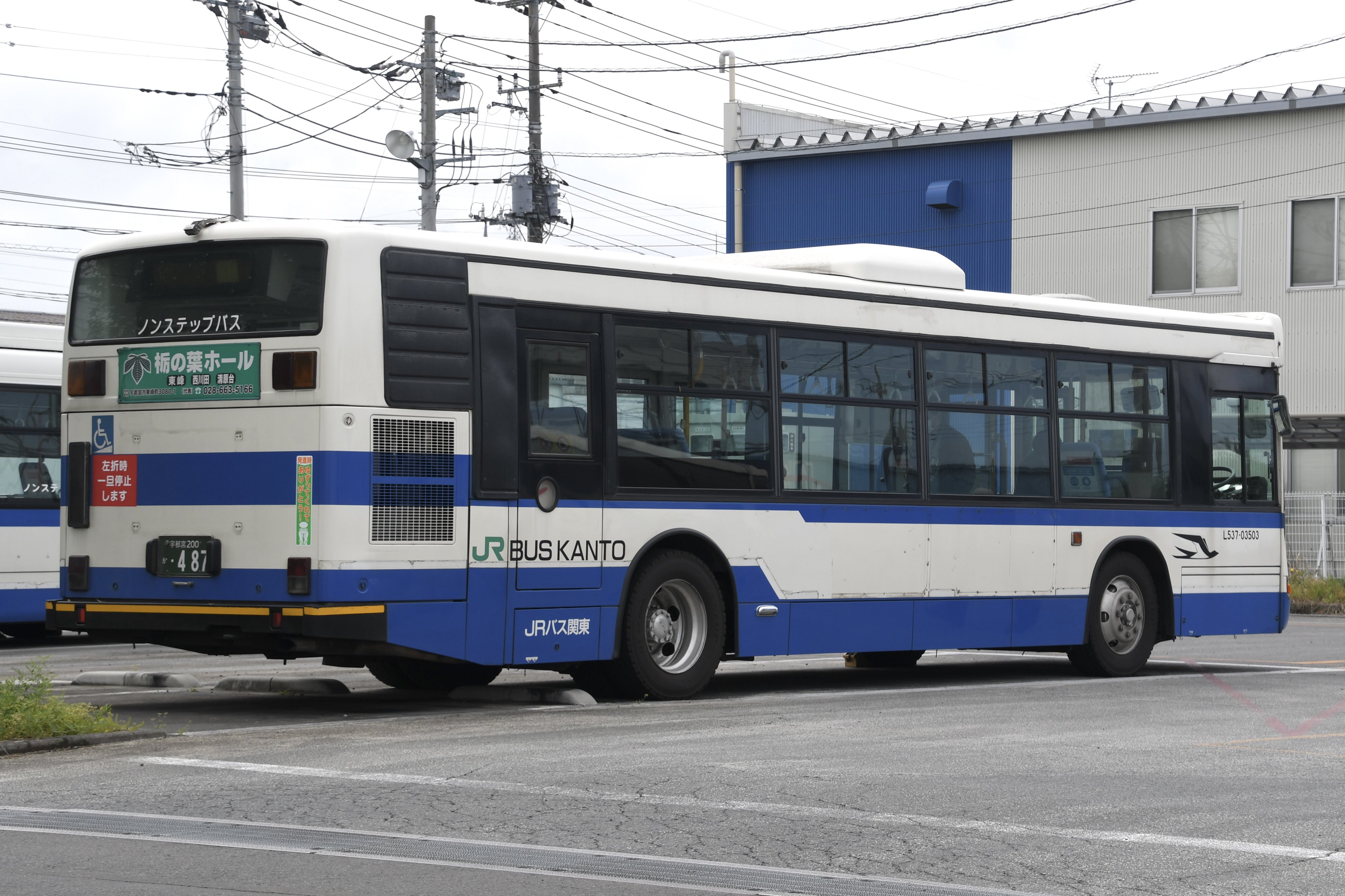 K様　ハニバ SEALコラボ トートバッグ が再入荷いたしました！：KUSHITANI