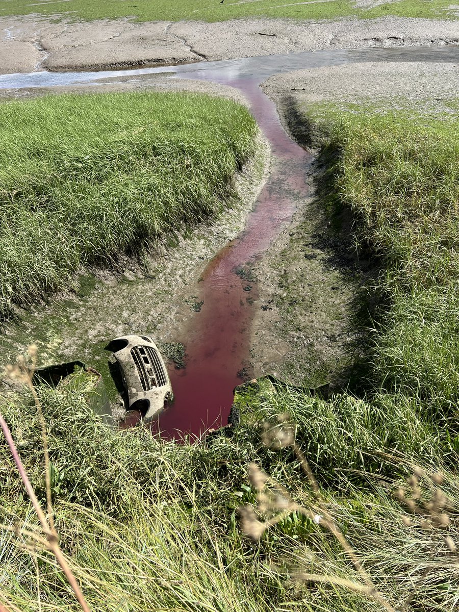 NC_debenbuoy's tweet photo. Any ideas what on earth this is @AnglianWater @EnvAgencyAnglia coming out of the sluice from the sewage works opposite Martlesham boatyard, into the SPA @NENorfolkSufflk, and I don’t mean the car part 😉 @LifeOnTheDeben @river_deben https://t.co/Jnto8AwJka