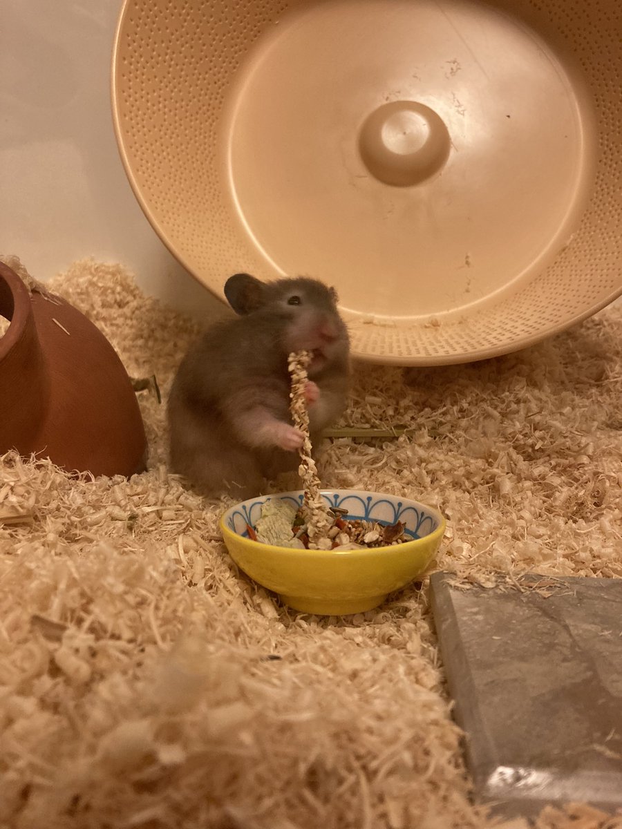 열정의 색소폰 연주자