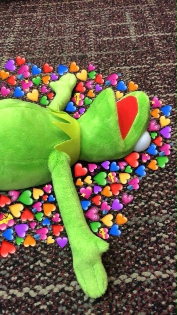 limadalia's tweet photo. minha tl de todas as redes sociais só tem gatinhos, god bless https://t.co/WzK4Pno2wO