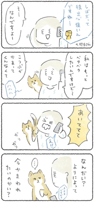 今なのかい?  つづきある→