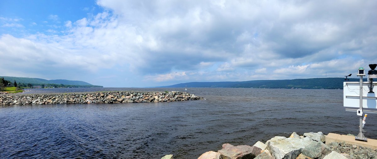 Robertron_wx's tweet photo. Solid breeze out in East Bay for the #eastbayregatta #nsstorm https://t.co/NEjiMAMxBZ
