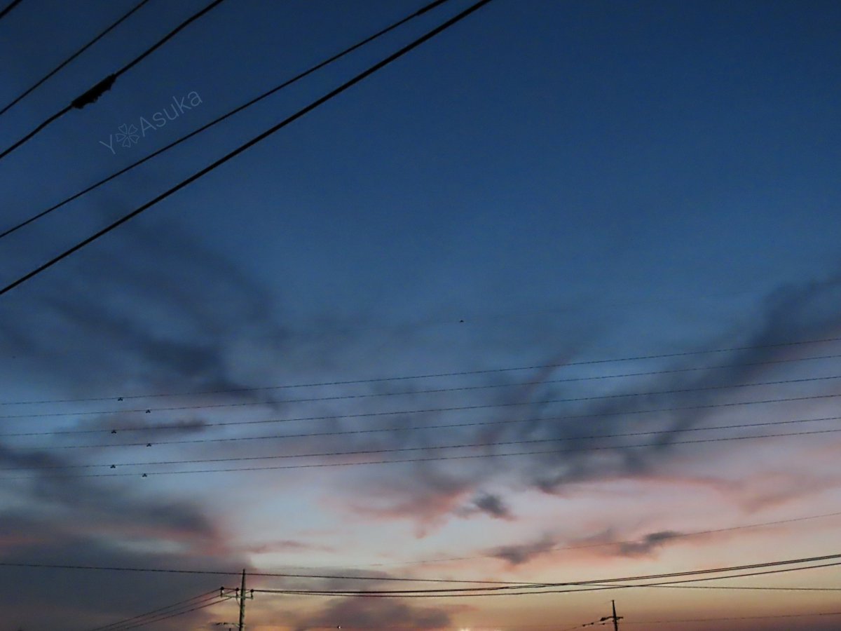 yumeasutw's tweet photo. 昼と夜の狭間
#空の名前
#天気の図鑑 #雲の超図鑑 #雲友の会
#夕空 #夕焼け #鉄塔 #電柱 #電線
#マジックアワー #トワイライト #薄明
#a2023 #a0729 #a202307 #a2023074 https://t.co/y5IxKVC2Lb