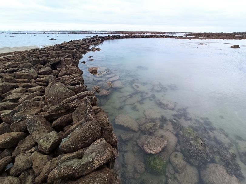 PatricioTamariz's tweet photo. NUEVAS EVIDENCIAS DE TÉCNICAS DE PESCA EN EL LITORAL ECUATORIANO: LOS CORRALES MARINOS DEL CABO PASADO, MANABÍ. Investiga. JA Jijón, INPC.  @INPCEcuador @Cultura_Ec @UNESCO_es @UNHeritageSites  @PatrimonioEc @nielsolsenp @TurismoEc @TurismoEcuador @PrefecturManabi @DiegoArcos14 https://t.co/Z1KAuGNXnG