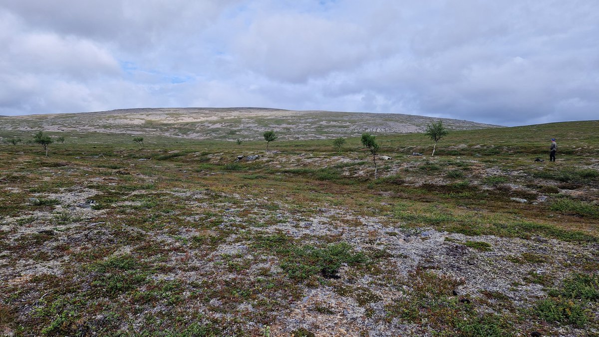 Beautiful lateral meltwater channels during one of the last days of fieldwork in the Inari area, Finland with Alastair Goodship <a href="/USN_info/">USN</a>. Big thanks also to Pertti Sarala <a href="/UniOulu/">University of Oulu</a> who joined for a few days. @LundGeology