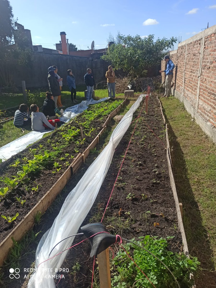 Mides_RN's tweet photo. Capacitacion de armado de microtuneles, su funcionalidad y ventajas que genera en la producción por parte del programa Ruralidad de Mides. https://t.co/UOMA8fDuKY