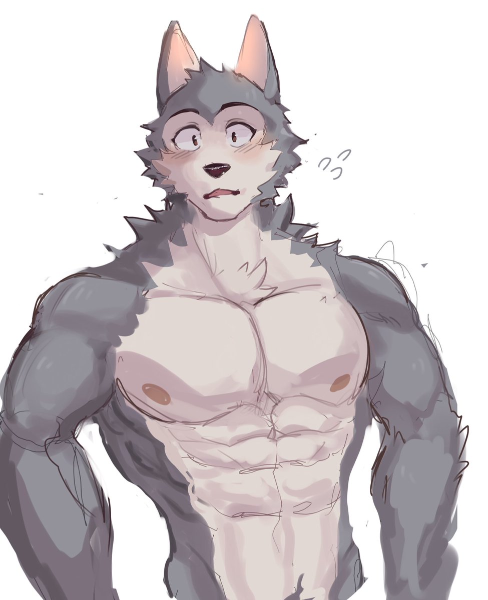 clumshy_B_boi's tweet photo. I just draw Legoshi in mu style Hope you like it 😚FA https://t.co/bY8nklEViw