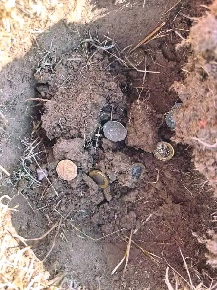 💚100 years of luck 💚
don't reject it and in 3hrs you will have a great miracle 💓🥀🌺🌹