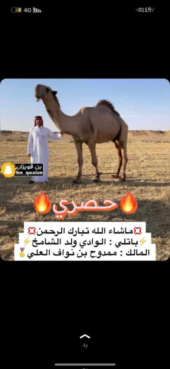 Albawariq_sa's tweet photo. ماشاء الله
باتلي ولد الشامخ
المالك ممدوح بن نواف العلي https://t.co/0Gi5xWLOmc