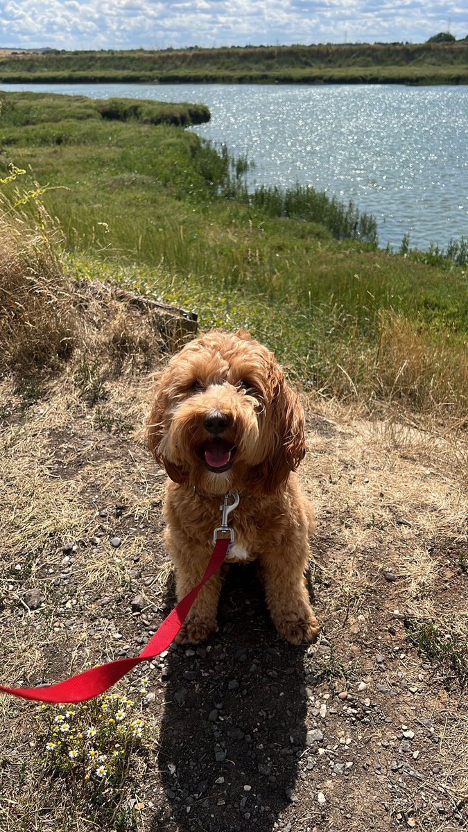 Terry Warwick tweet media