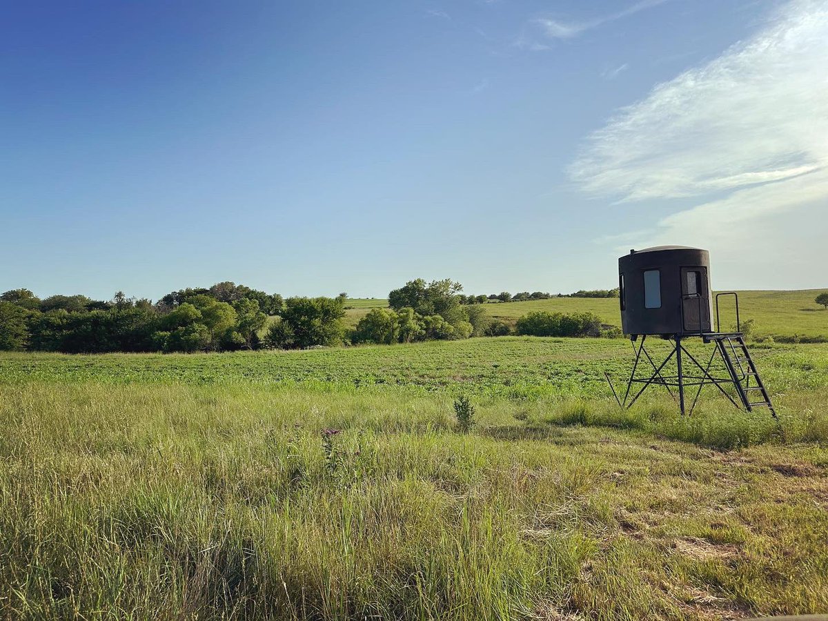 BEOUTDOORScom's tweet image. September deer 🦌 seasons fast approaching! #youthseason #muzzleloaderseason #archeryseason #banksblinds #banksoutdoors @banksoutdoors @Banks_Outdoors