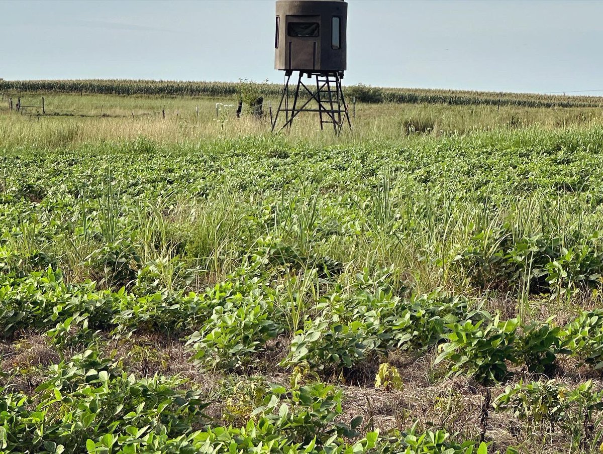 BEOUTDOORScom's tweet image. September deer 🦌 seasons fast approaching! #youthseason #muzzleloaderseason #archeryseason #banksblinds #banksoutdoors @banksoutdoors @Banks_Outdoors