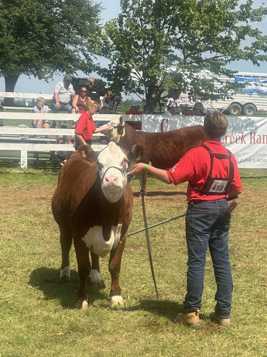 CAN_Hereford's tweet photo. Taking in the action at the open show of Bonanza 2023! #herefordweekincanada https://t.co/Wg3bKePenv
