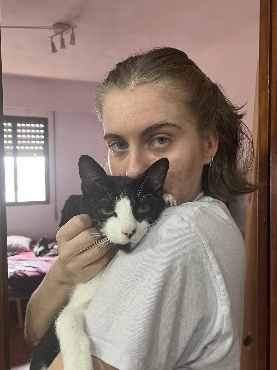albamcampillo's tweet photo. Hola! Necesito ayuda. Mi compañera de piso iba a quedarse con Icaro (primera foto) y al final no, yo ya tengo a dos gatas y no puedo hacerme cargo. Es muy cariñoso, le gusta jugar y está castrado y vacunado. Se lleva genial con otros gatitos. Tiene aprox. un año. Difusión porfi🙏🏻 https://t.co/h1A9tvJ6VN