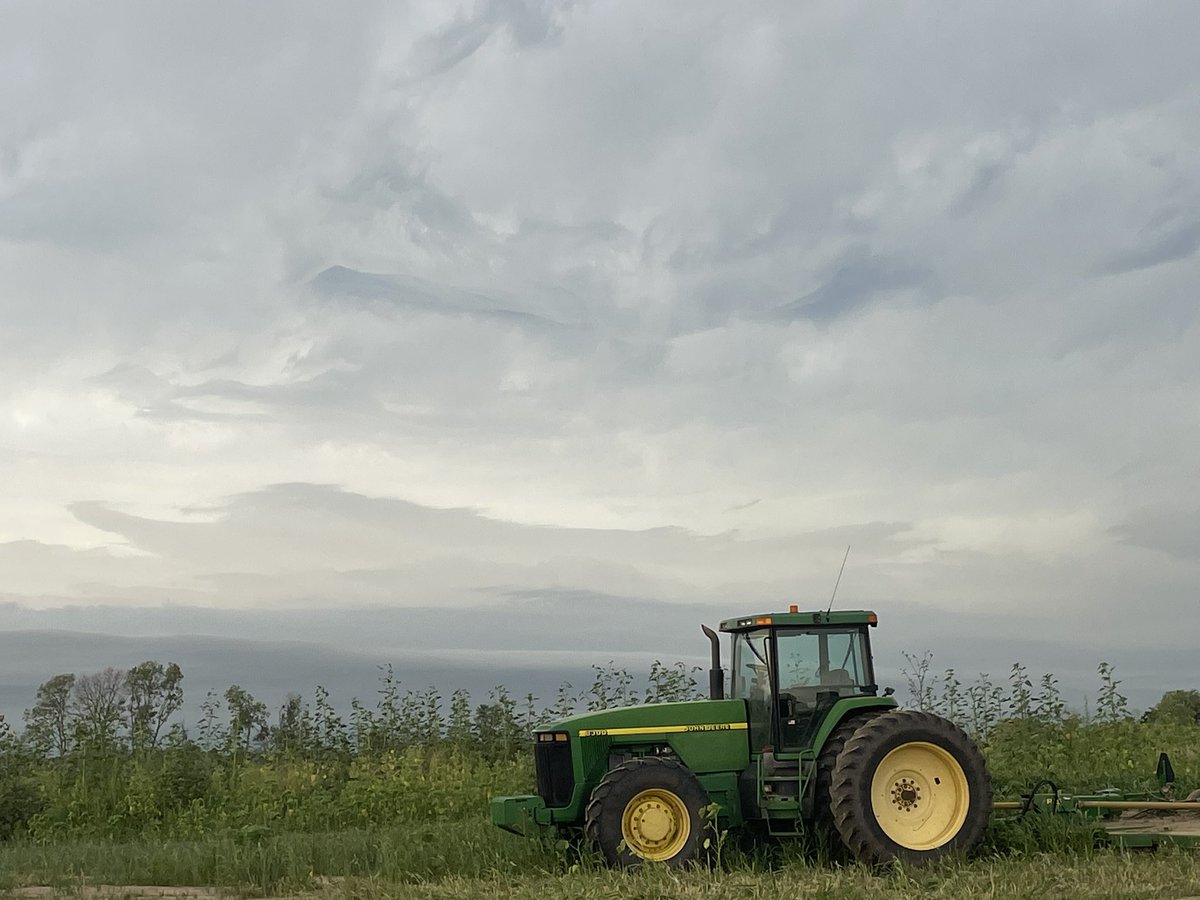 DW (@dw131) on Twitter photo 