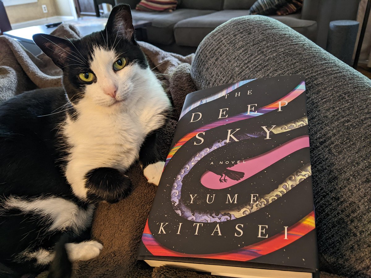 Reasons you should read THE DEEP SKY by @YumeKitasei 
🌟Outer space whodunnit
🌟A mom-like AI
🌟Bird facts
🌟Biracial feelings
🌟Pregnant ppl doing cool things
🌟A chocolate cake you won't soon forget
🌟Cover looks great with my cat