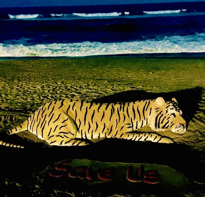 On the #InternationalTigerDay ,  I am sharing my another sand art on #Tiger awareness at Puri beach.