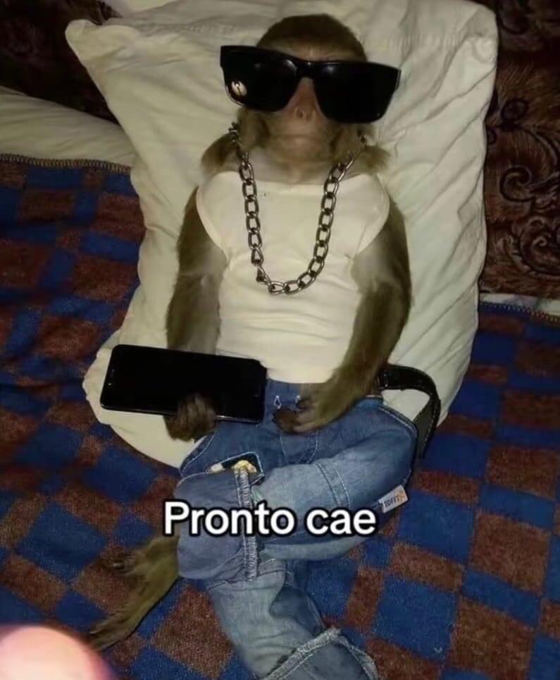 yo después de haberle dado like a la historia