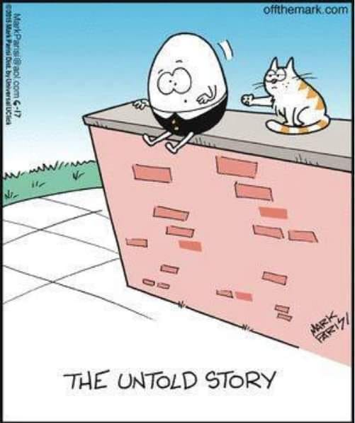 Windy101🇨🇦🇺🇸🇺🇦🐾🐾🐾 (@hey_butter) on Twitter photo 