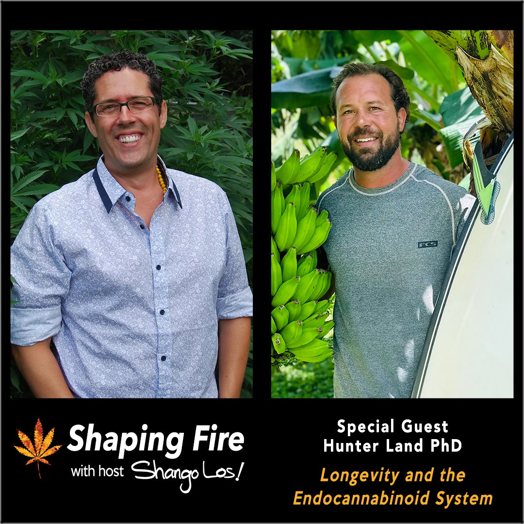 ShapingFire's tweet image. EP #108 Host @ShangoLos talks with neuroscientist Hunter Land PhD about the biological mechanics of aging, how strengthening the endocannabinoid system can increase your healthspan, and how to develop a cannabinoid strategy to meet your health goals. ShapingFire.com