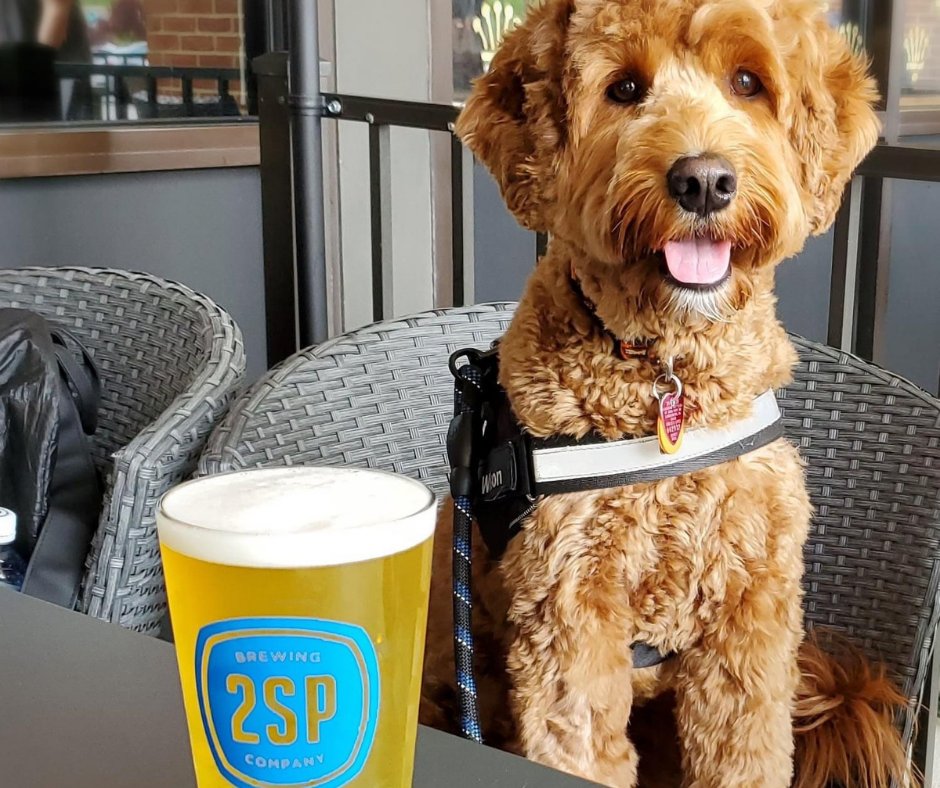 Two Stones Pub tweet media