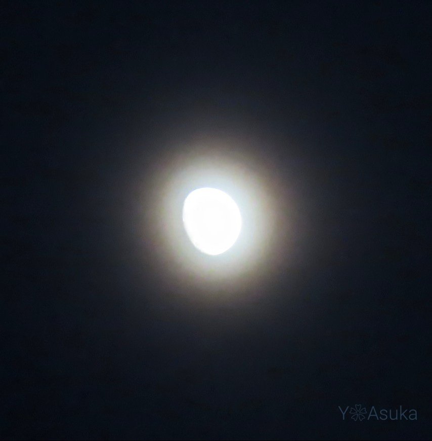 yumeasutw's tweet photo. 薄雲の向こうのお月様🌔
#ブルーモーメント の空に
#巻雲 が流れ行く #夕暮れ
薄絹を纏ったような
おぼろ気な #宵月 (月齢11.7)が
優しく輝いています✨
#月 #moon
うっすらと #月光環
#空の名前
#天気の図鑑 #雲の超図鑑 #雲友の会
#ブルーアワー
#a2023 #a0729 #a202307 #a2023074 https://t.co/jYtSpFbYfr