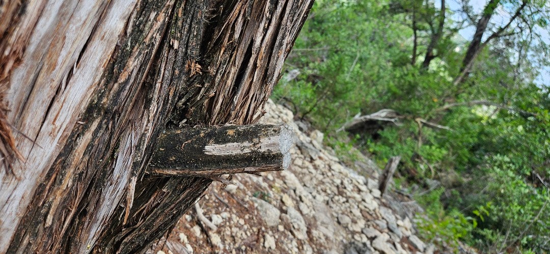 captspastic's tweet image. I'm at Lower Bull Creek Greenbelt and District Park - @austintexasgov in Austin, TX swarmapp.com/c/2w03NVFgq8h